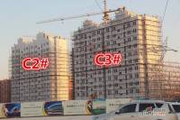 濉河庭院实景图14