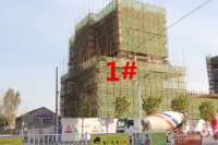天杰帝景实景图6