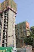 特凿花园实景图1